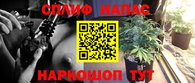 мяу мяу мука Гусиноозёрск