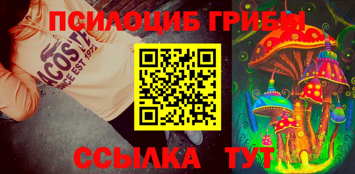 магазин продажи наркотиков  Галлюциногенные грибы Psilocybine cubensis  Вход с VPN  Мытищи 